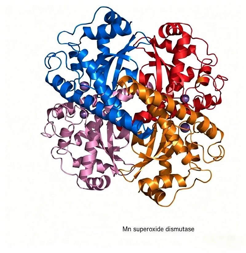 productcate-800-824 productcate-800-824